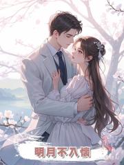 明月不入懷